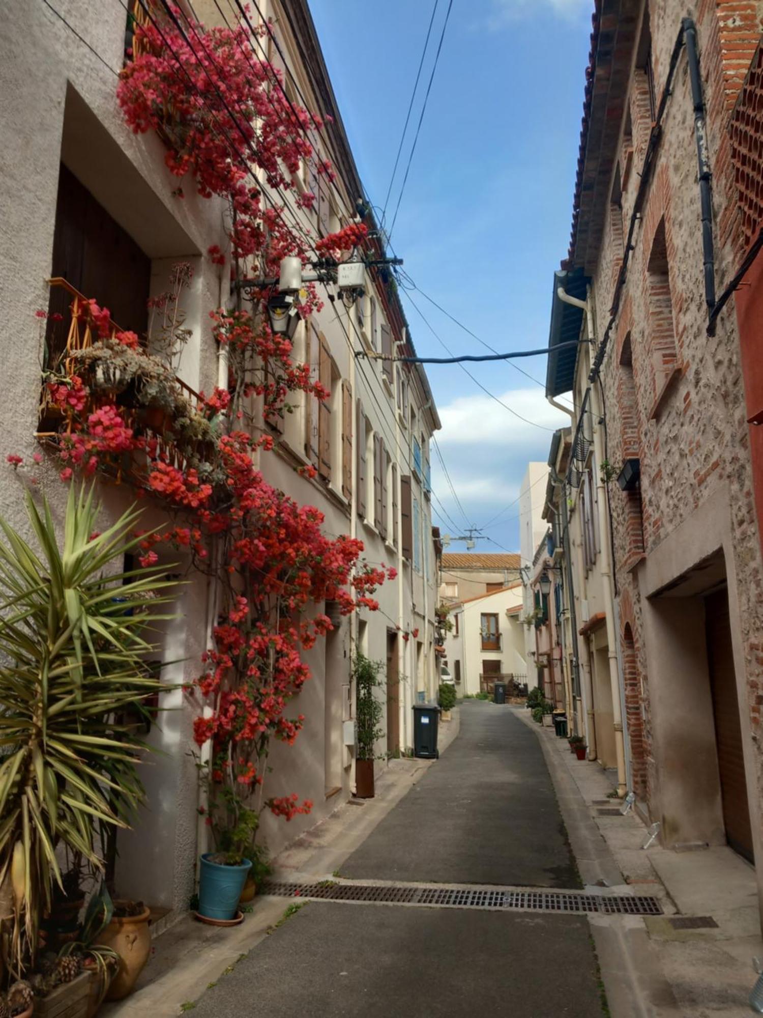 Maison De L'Esprit Catalan Argeles-Sur-Mer Bagian luar foto